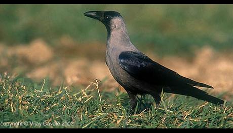 Örnek haber adı gelecek.