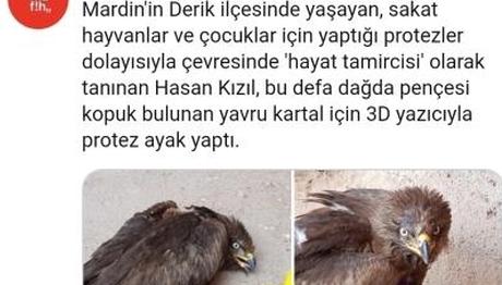 Hayat Tamircisi Yavru Kartal'a protez ayak yaptı