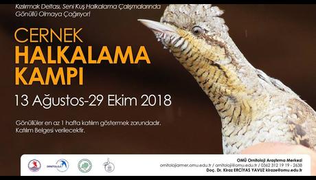 Cernek Halkalama Kampı Yeni Dönem