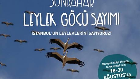 İstanbulun leyleklerini sayıyoruz!