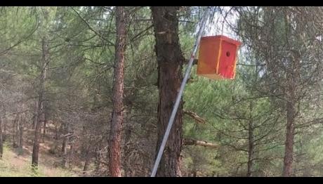 Minik Ellerden Renkli Yuvalar