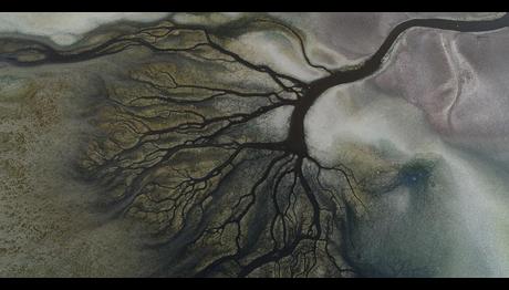 Flamingo Cenneti Kuruyor