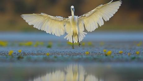 Türkiye Su Meclisi Toplanıyor!