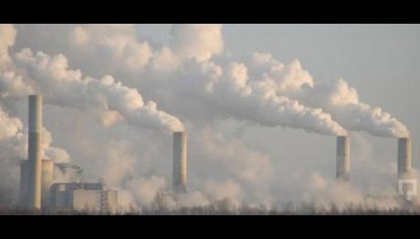 Kuş Ölümlerinin Sebebi Kirlilik ve Mevsimsel Faktörler