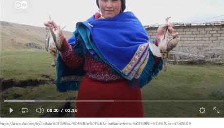 And Dağlarının İntihar Eden Kuşları?