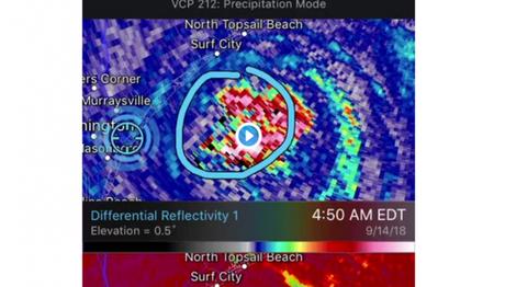 Florence Kasırgasının Gözünde Kuş Sürüleri