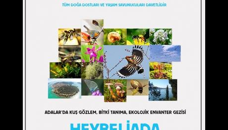 Heybeliadada Yürüyüş ve Gözlem