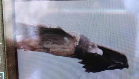 Örnek haber adı gelecek.