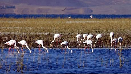 Örnek haber adı gelecek.