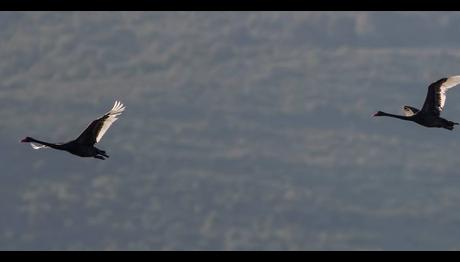 Örnek haber adı gelecek.