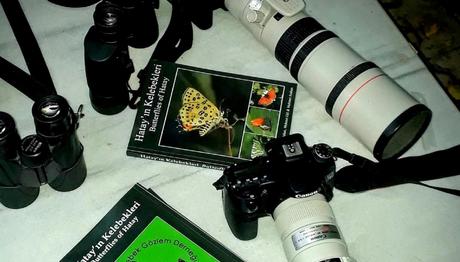 Kitap: Hatay'ın Kelebekleri