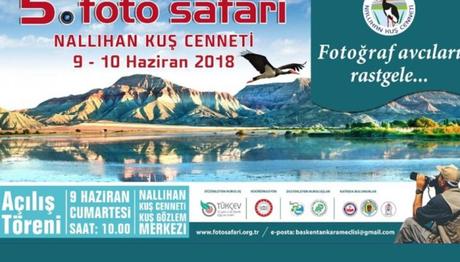 Örnek haber adı gelecek.