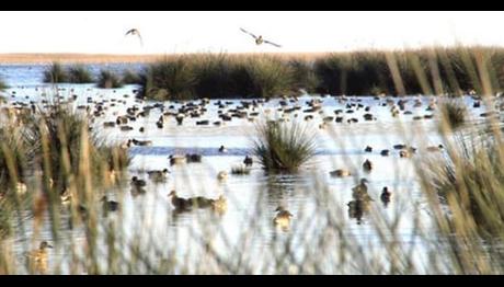 Gözlemciler İçin Butik Otel Yapılacak