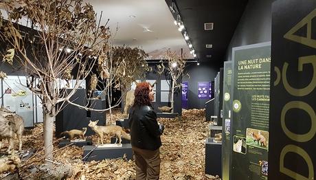 Doğa Bilimleri Merkezi Gece Sergisi