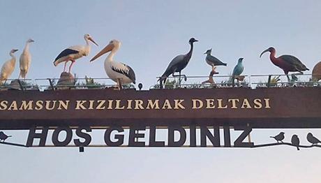 Kızılırmak Deltası Kuş Cenneti'ne Girişlere Sınırlama