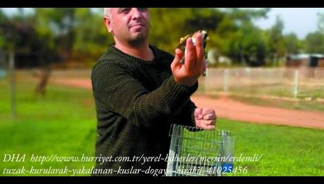 Tuzak Kurularak Yakalanan Kuşlar Doğaya Bırakıldı