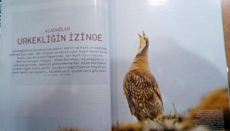 Aladağlar `Urkekliğin İzinde`