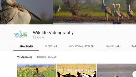 `Wildlife Videography` Yayında