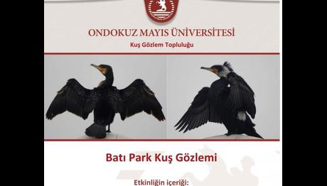 OMÜ Kuş Gözlem Etkinliği