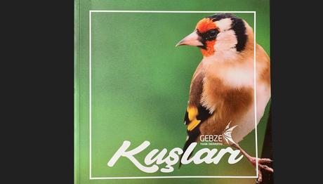 Gebze Teknik Üniversitesi Kuşları Kataloğu