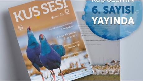 Kuş Sesi 6. Sayısı Yayında