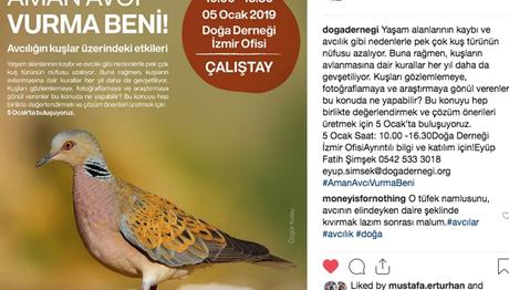 Aman Avcı Vurma Beni