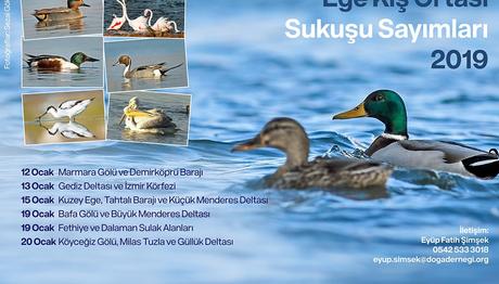 Örnek haber adı gelecek.