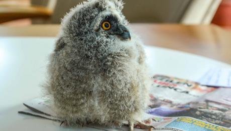 Örnek haber adı gelecek.