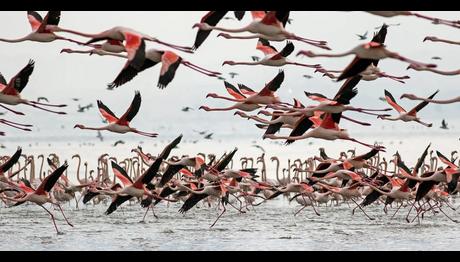 Örnek haber adı gelecek.