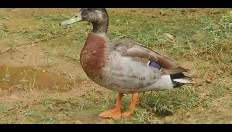 Örnek haber adı gelecek.