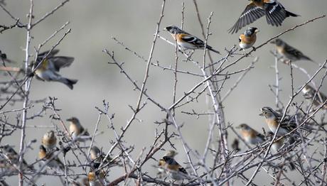 Örnek haber adı gelecek.