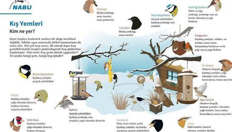 Örnek haber adı gelecek.