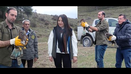 Örnek haber adı gelecek.