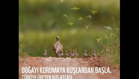 Türkiye Üreyen Kuş Atlası Projesi Toplantısı
