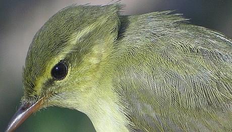 Halkalamaya siz de katılın!