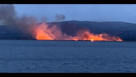 Bursa da sazlıklar alev alev yandı