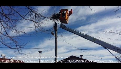 Kuş göç yolları üzerinde bulunan Tekirdağda leyleklerin yuvaları 11 ilçede yenilendi