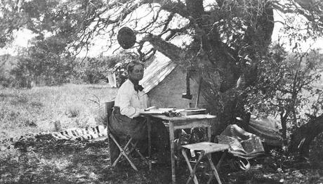 Dünyayı Kuşlar ve İnsanlar İçin Daha İyi Yapan Yedi Kadın