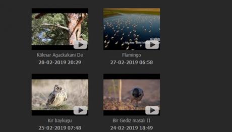 Trakus Video Bölümü Yenilikler