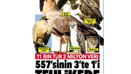 Yırtıcılar Tehlikede