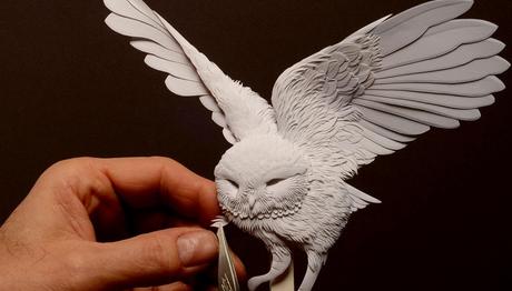 Bu Kuşlar Kağıttan