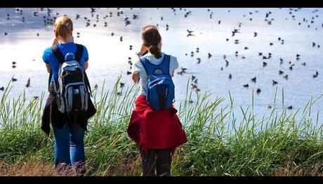 Kuşların peşinde Türkiyenin en güzel yerlerine