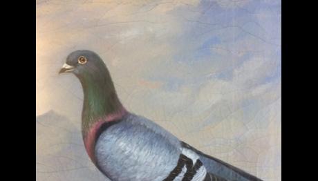 Tarih Boyunca Kültürleri Etkilemiş 5 Kuş ve Mitleri 