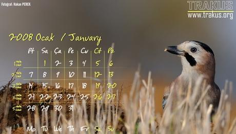 Örnek haber adı gelecek.