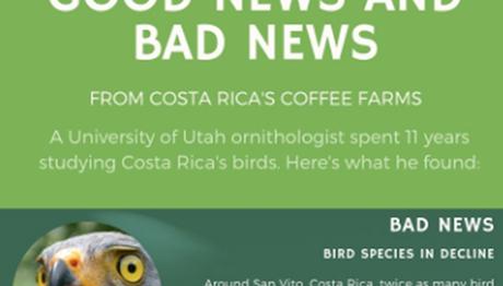 Tropikal Kırsalda Kuş Nüfuslarının Uzun Dönemli Azalması