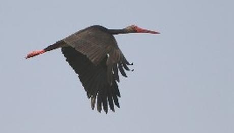 Örnek haber adı gelecek.