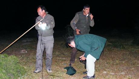 Meriç Deltası'ndan kamp ve gözlem notları