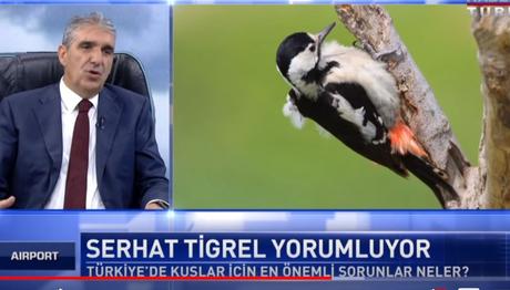 Örnek haber adı gelecek.