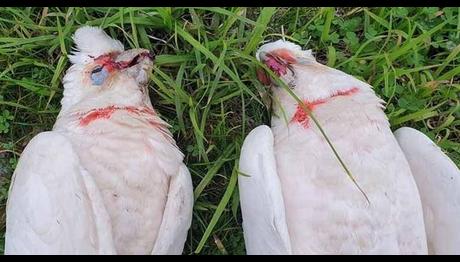 Örnek haber adı gelecek.