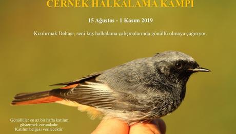 Örnek haber adı gelecek.